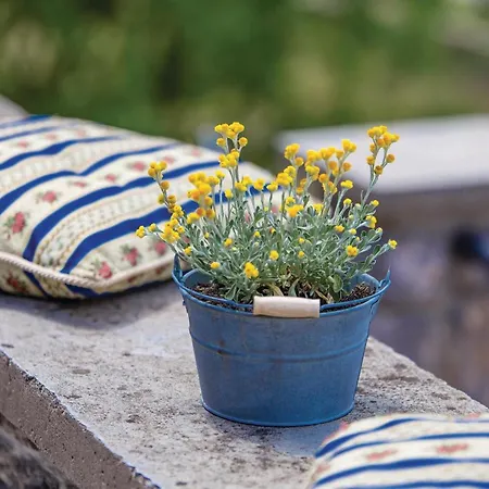 Gorgeous In Poljane With Sauna